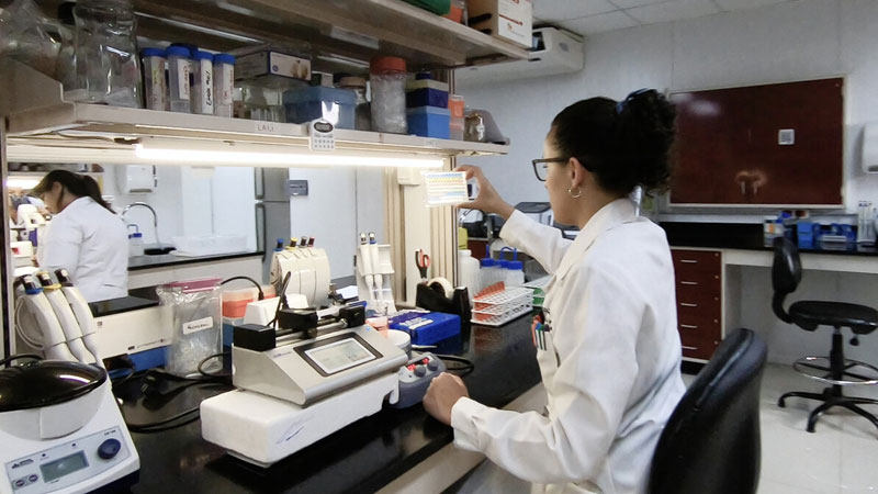Recursos para la investigación