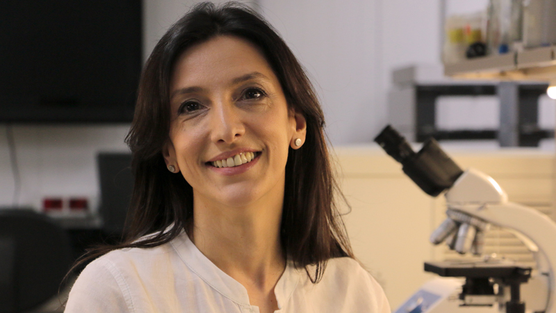 Biotechnology Seminars Organized by Lorena Betancor