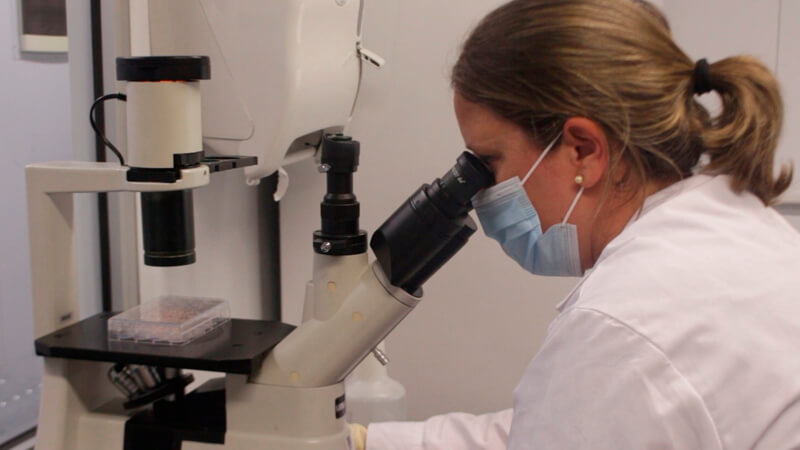 Coronavirus Vaccines - Coronavirus Vaccines in Uruguay