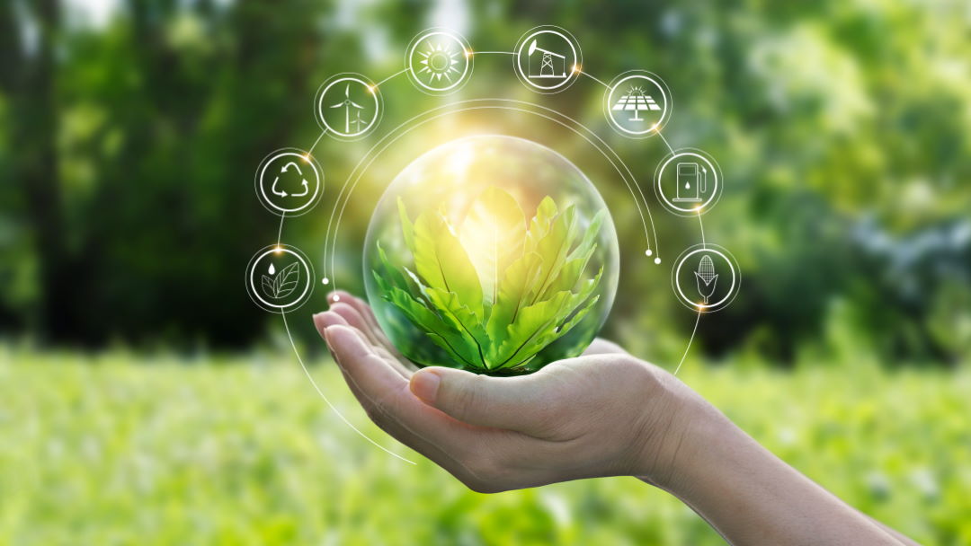 Sustainable development