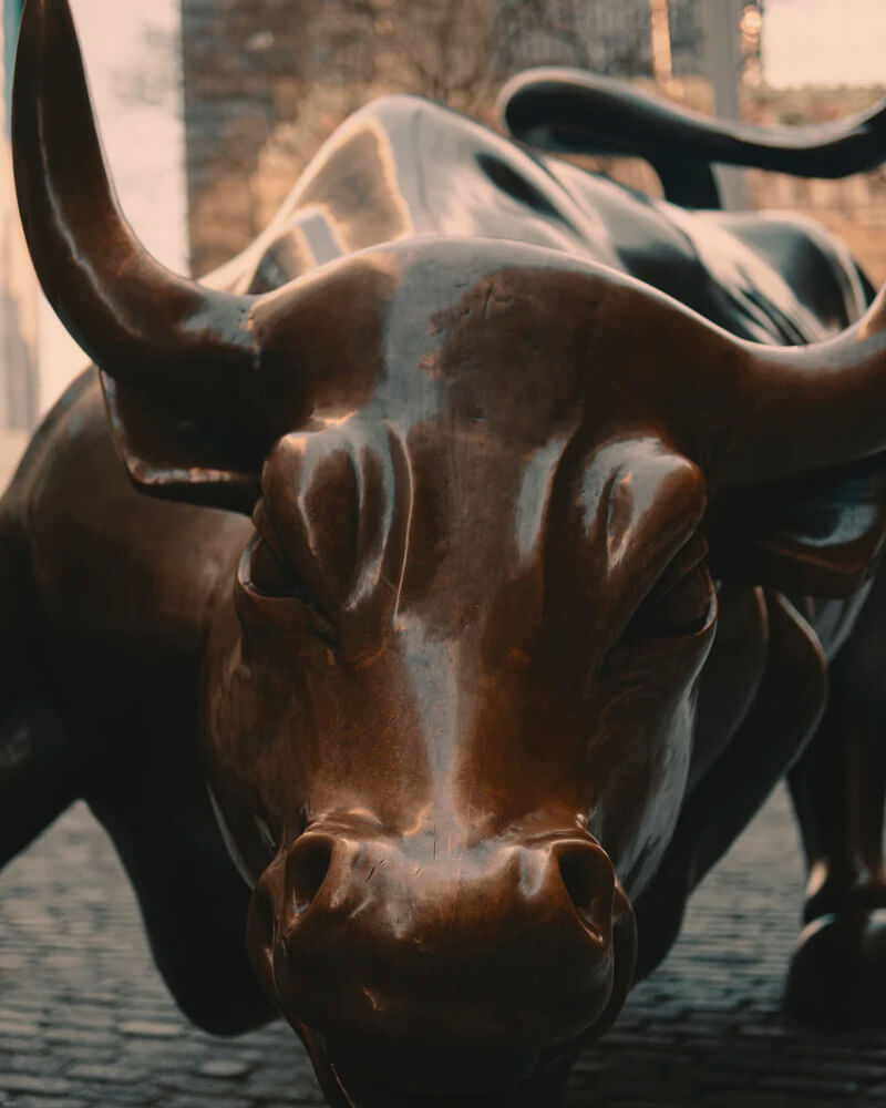 The Wall Street Bull.