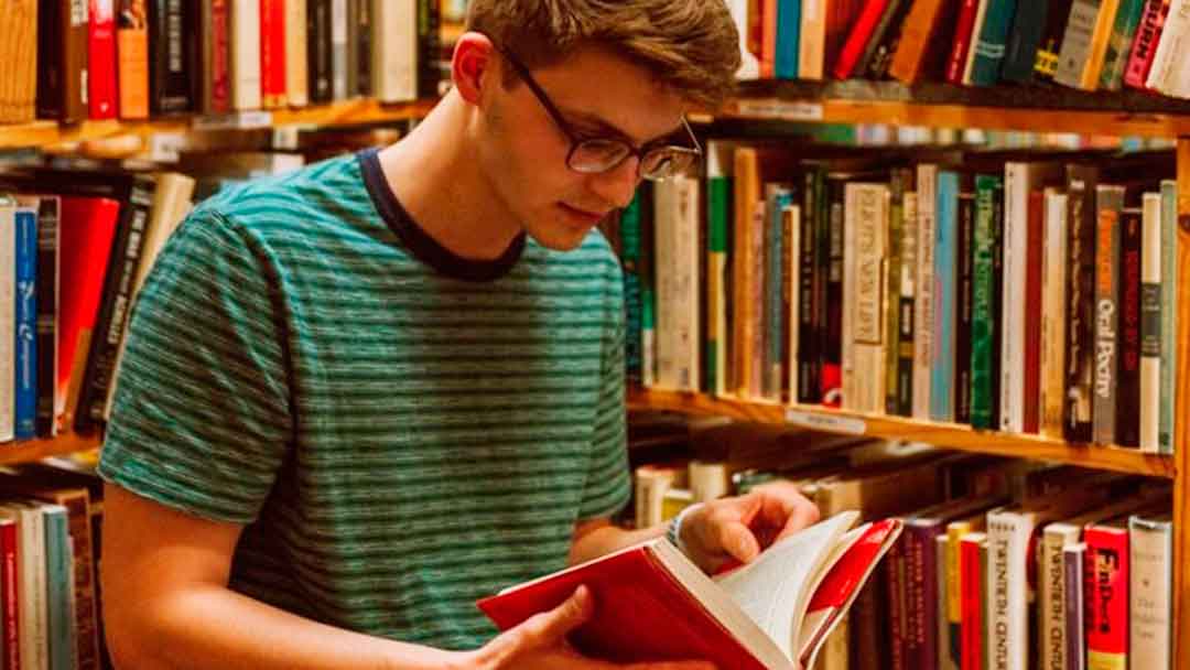 What to study after high school
