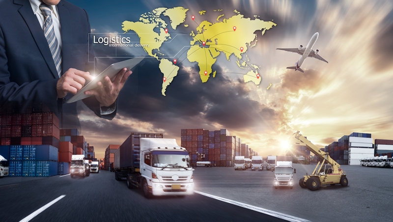 Logistics and Supply Chain Management Analyst