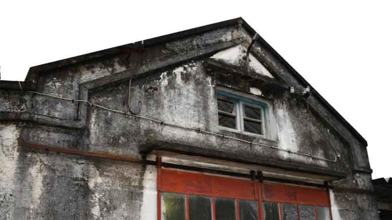 Public Tender for the Trinidad Market - Universidad ORT Uruguay