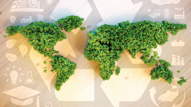 World Environmental Education Day