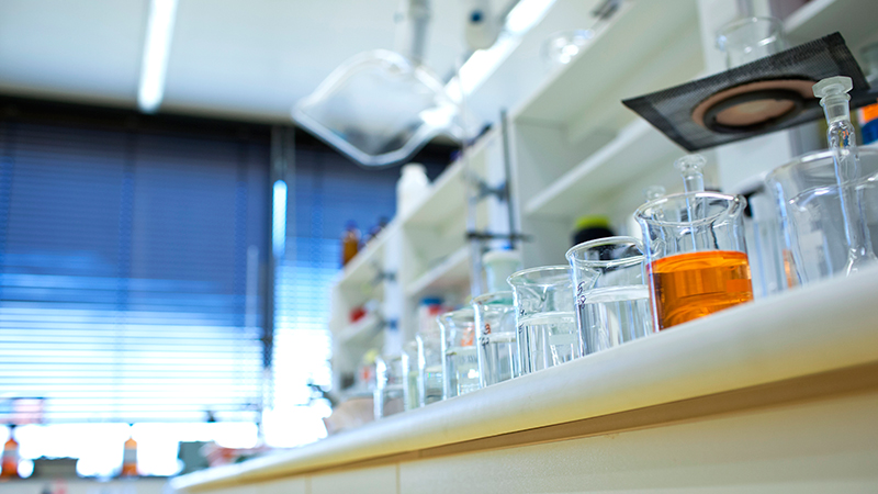 *"All the knowledge we gained during our studies was essential," say the entrepreneurs*
