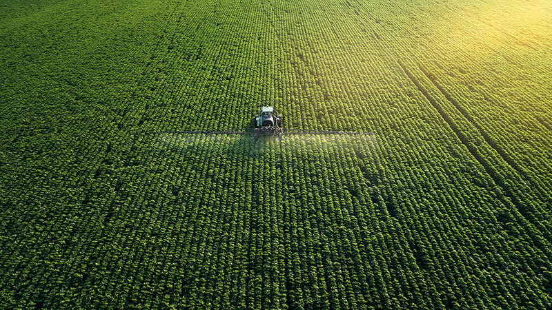Agribusiness