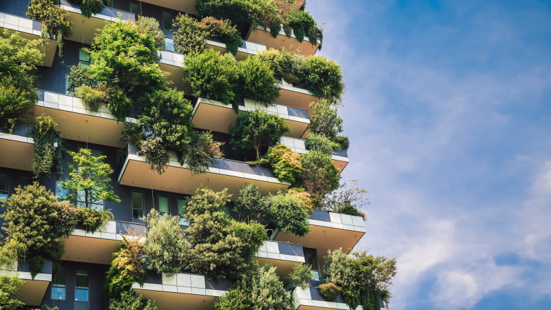 Sustainable architecture