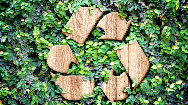 The Biotechnology Research and Innovation Center is participating in a pilot composting program in Rivera