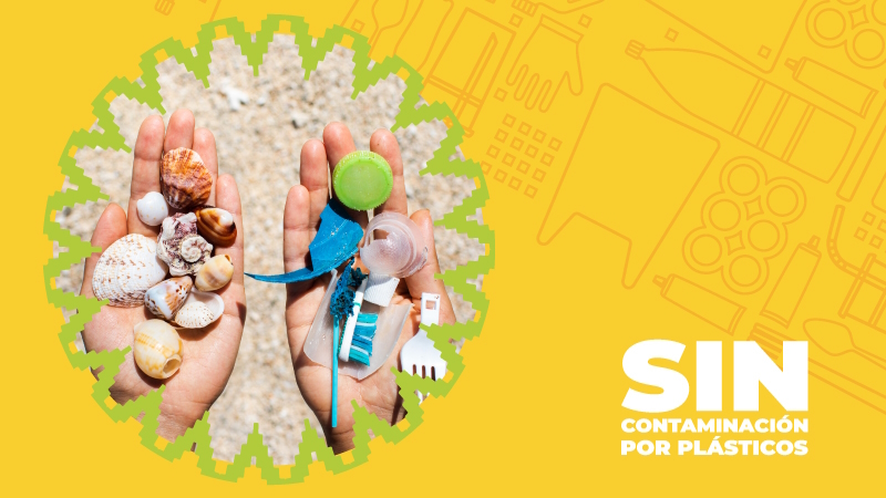 "Good Ideas to Combat Plastic Pollution" Contest