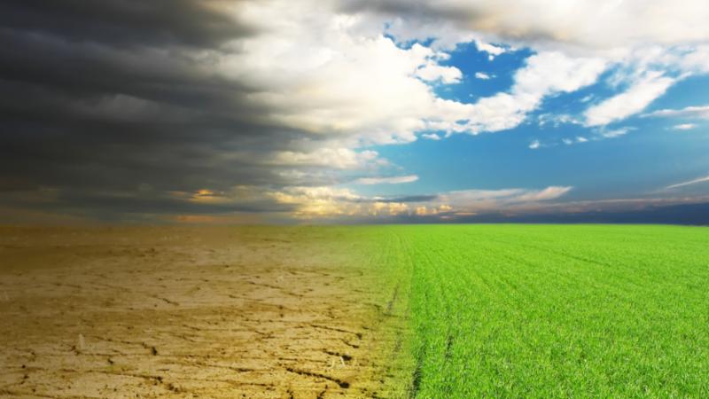 Migration, the environment, and climate change