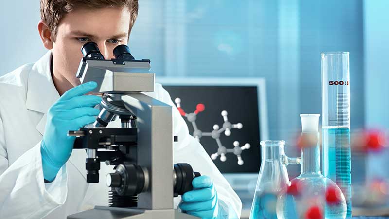 University degree programs in health sciences
