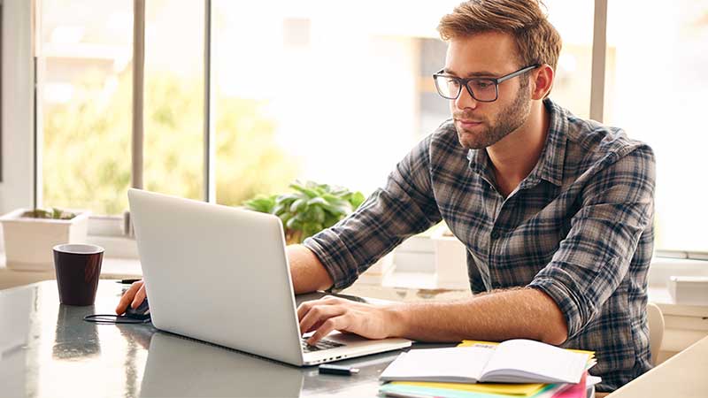 College majors in economics and business