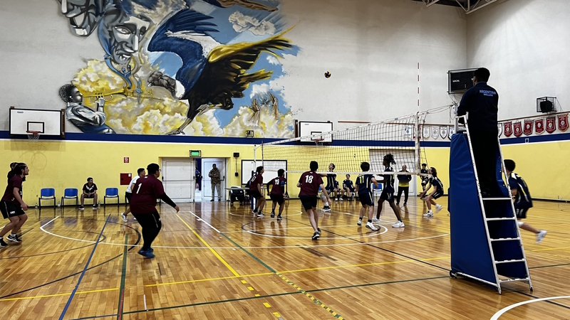 Men's volleyball