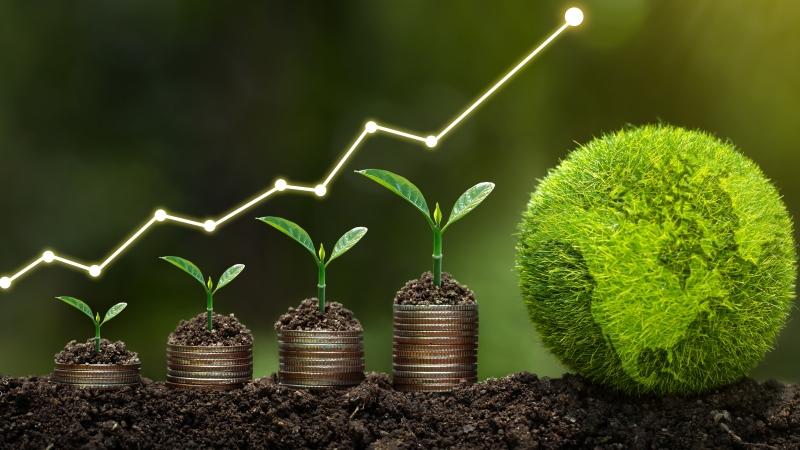 Sustainable Business Management Program