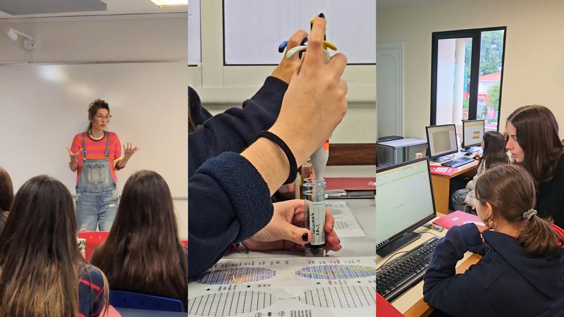 Workshops at ORT for International Day of Girls in ICT