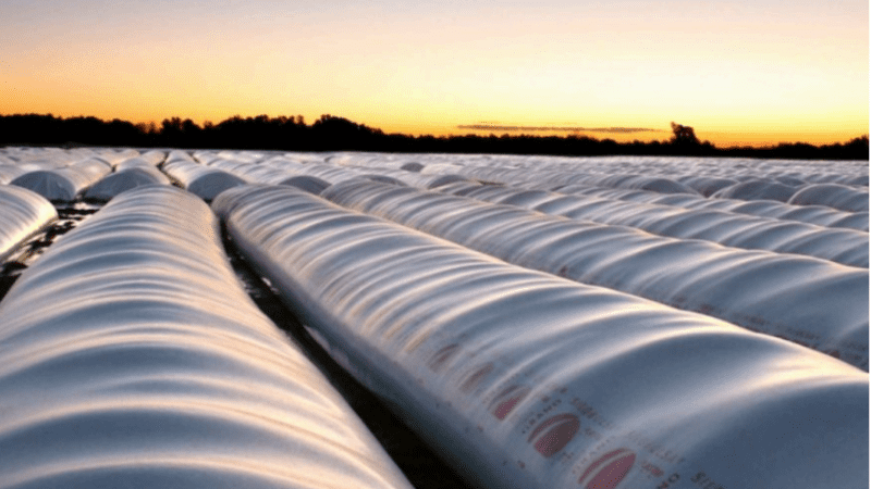 *More than 3,000 tons of silo bags are imported into Uruguay each year.