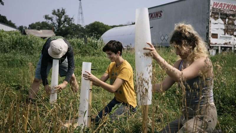 *Image: Middlebury College website*