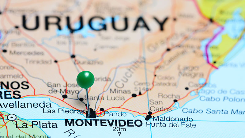 The only university in Uruguay participating in Projects for Peace