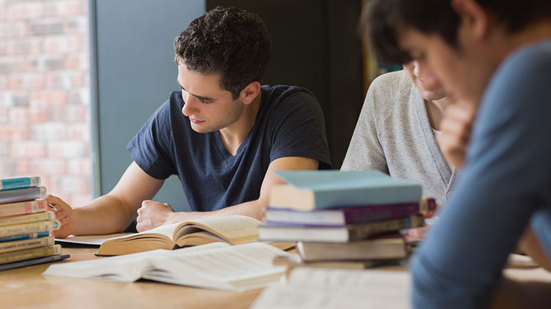 Academic Excellence Scholarship with an Affidavit of Income