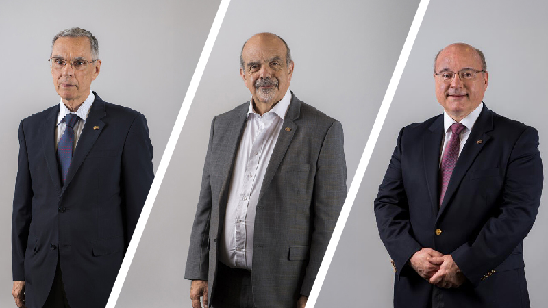 *Julio Fernández, Mario Fernández, and Gaston J. Labadie*