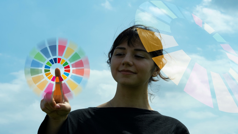 The SDGs and How They Are Addressed in Higher Education