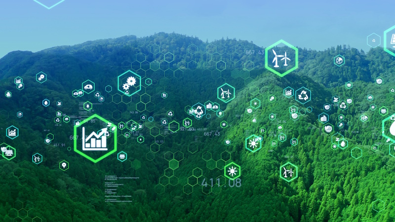 Dimensions of sustainability