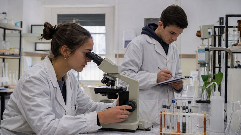 What You Learn in a Bachelor's Degree Program
