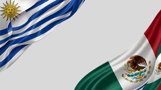 Bridging Cultures