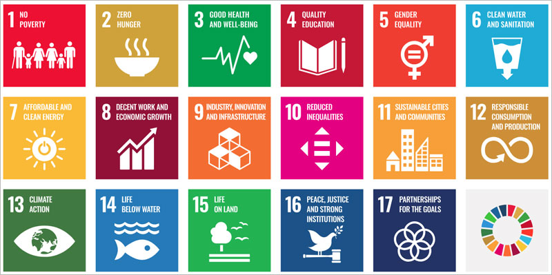 *The Sustainable Development Goals, adopted on September 25, 2015, as part of the 2030 Agenda.*