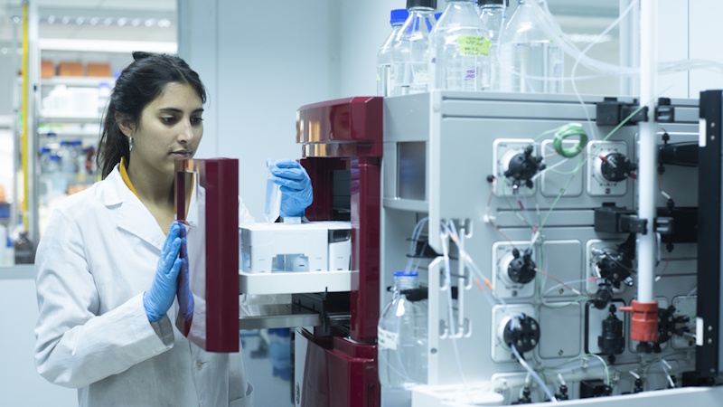 College majors related to sustainable development