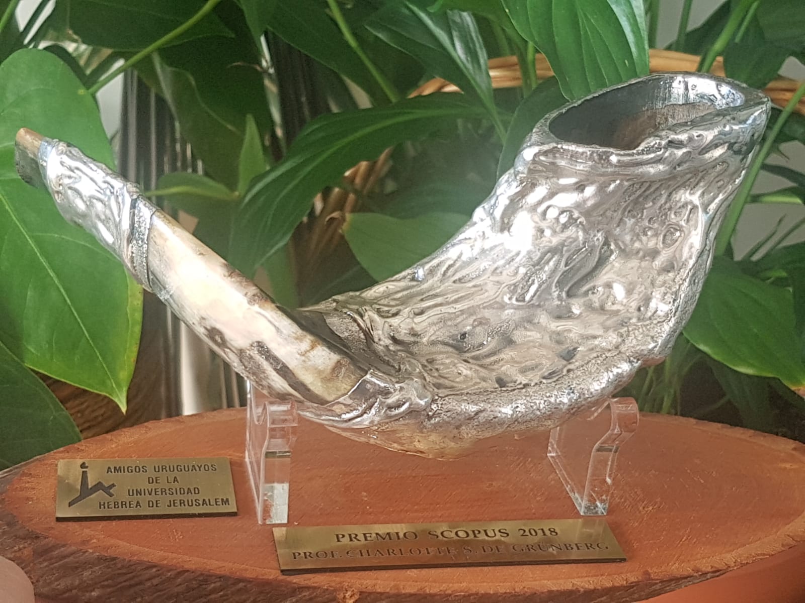 Scopus Award