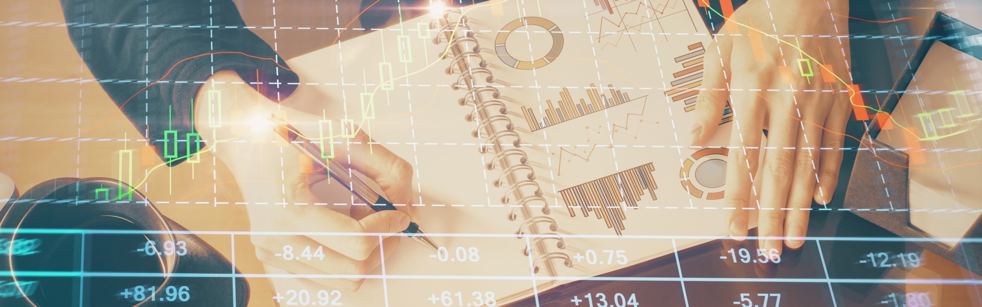 Bachelor's Degree in Economics