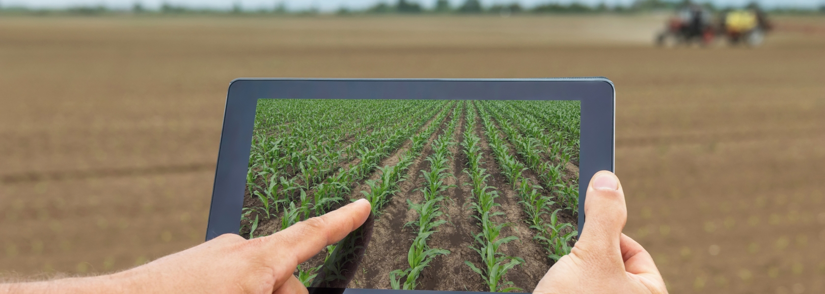 The agricultural export sector and the pandemic