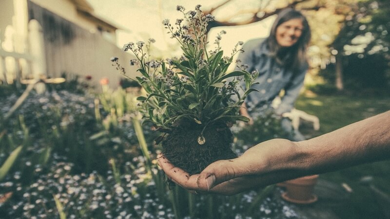 Beneficios del paisajismo urbano y la jardinería.