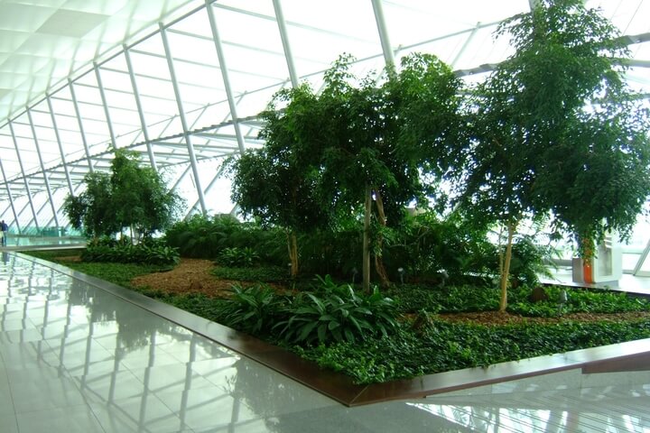 Interior del Aeropuerto Internacional de Carrasco.
