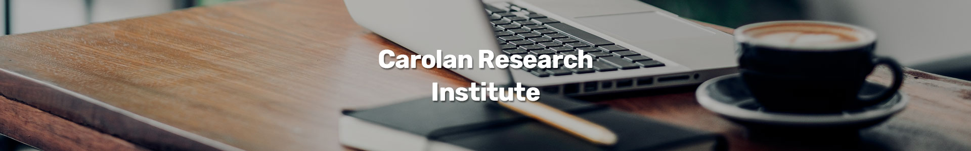 Carolan Fund for Entrepreneurial Research
