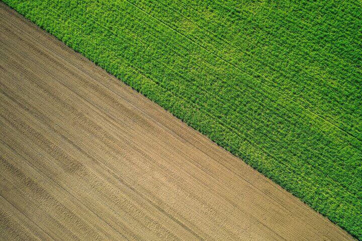 La importancia del agro en Uruguay.