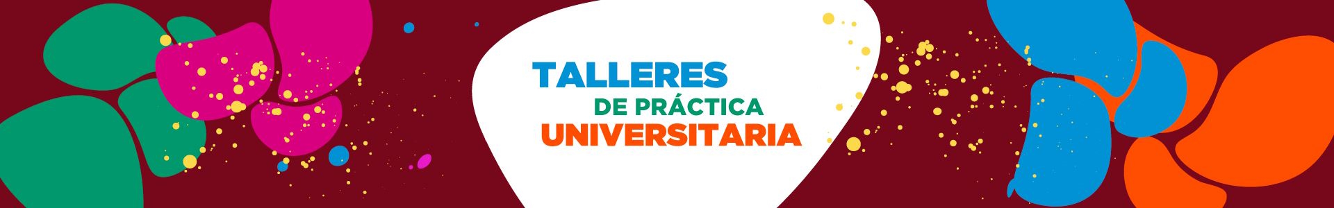 Talleres de Práctica Universitaria