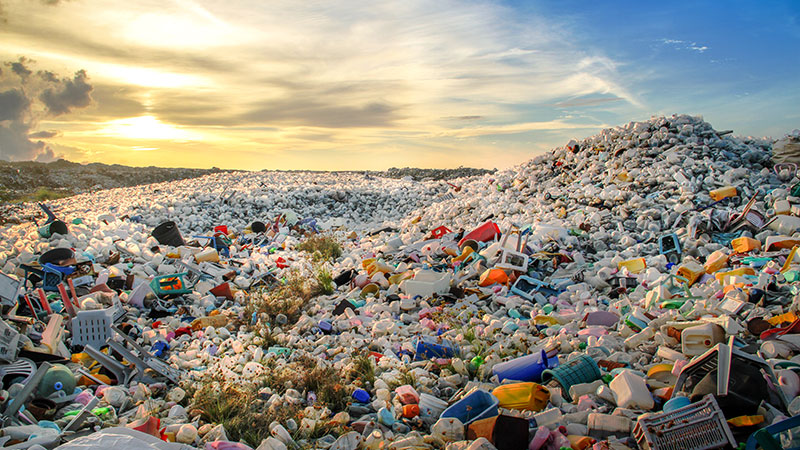 Problemática del plástico a nivel mundial