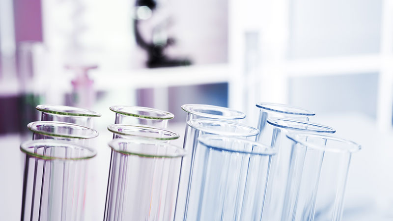 Investigación científica en la Universidad ORT Uruguay