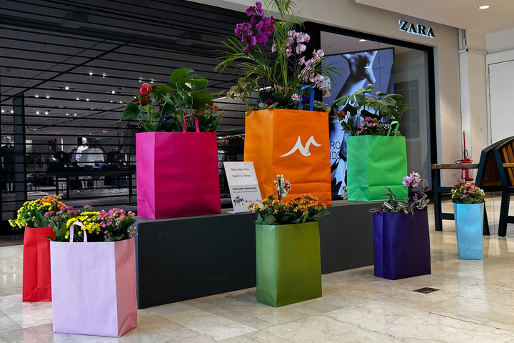 concurso de paisajismo Mini Patio 