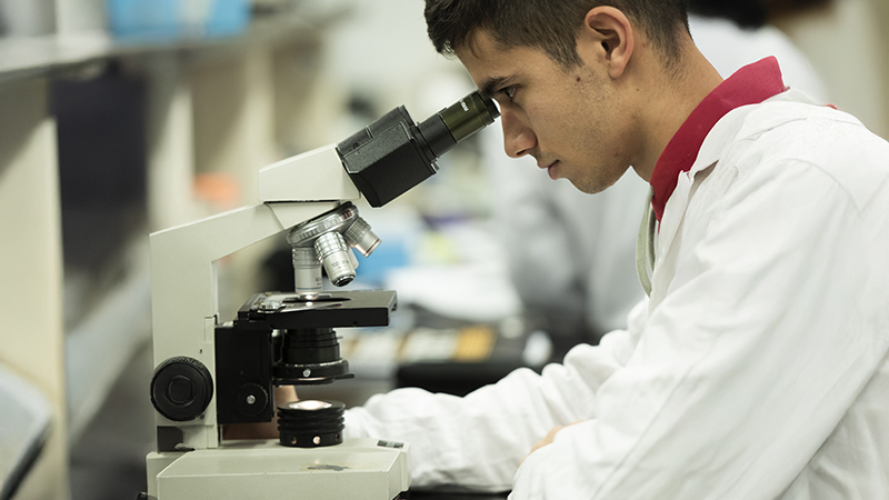 Concursos de becas en ort