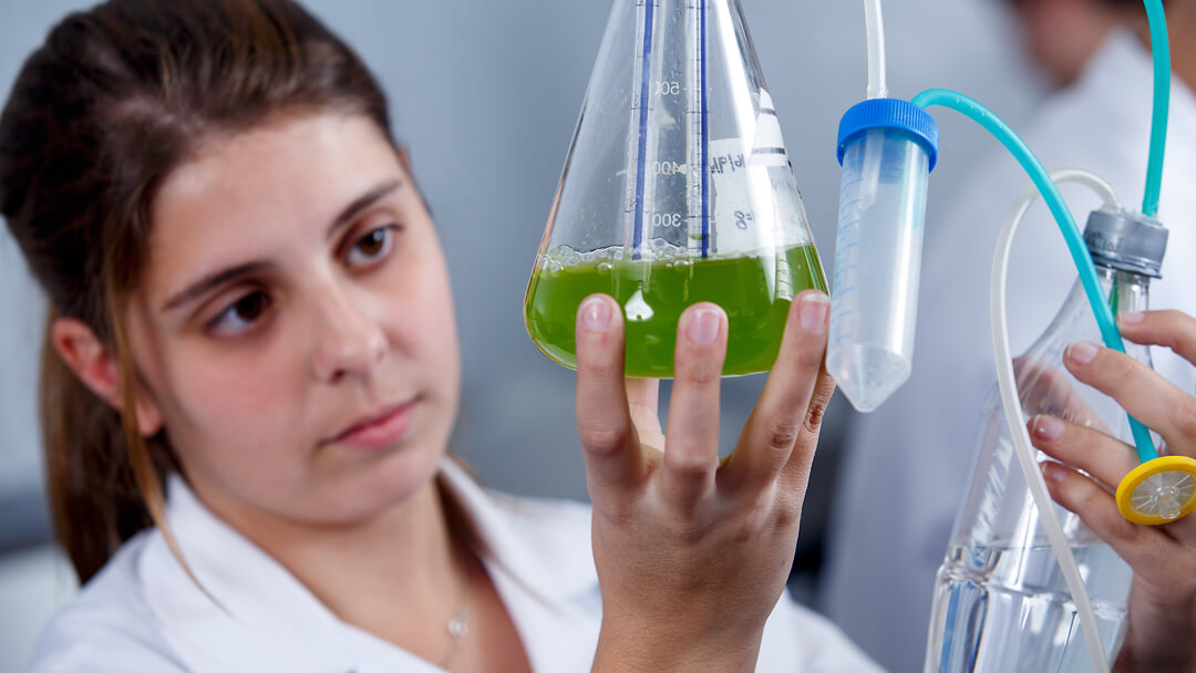 Laboratorios de práctica