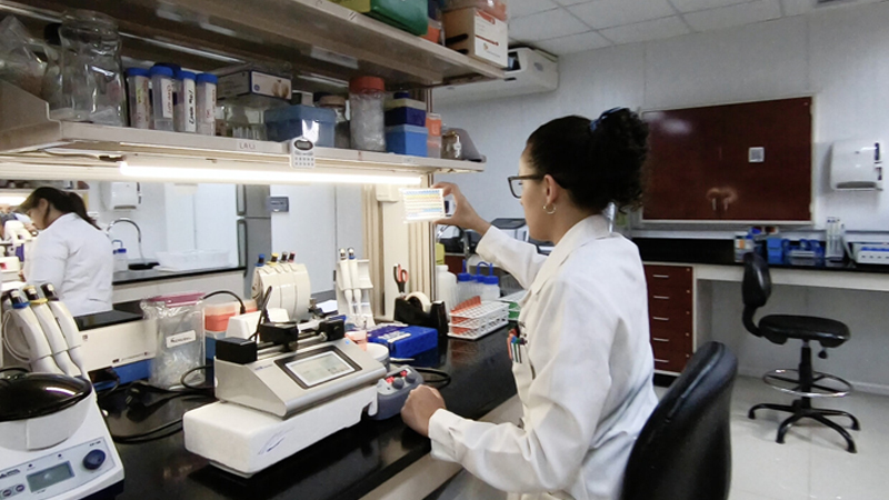 Investigación en la Universidad ORT Uruguay