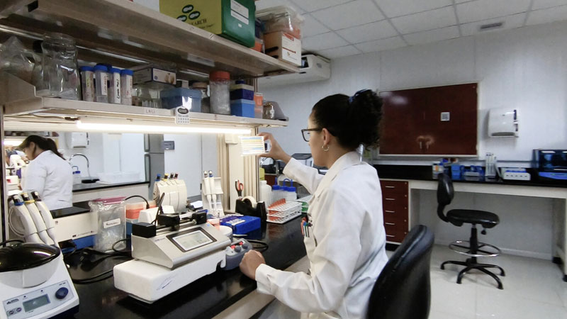 AD Scientific Index 2026 ubica a ORT como la universidad privada mejor posicionada de Uruguay en desempeño científico