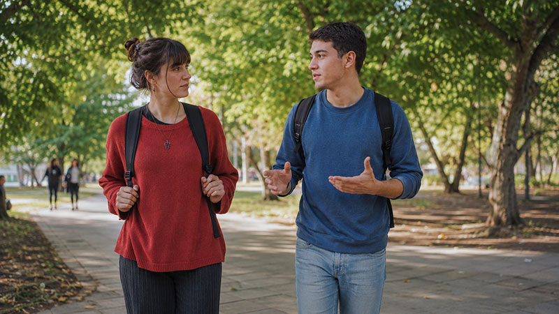 Qué es una licenciatura y qué tener en cuenta antes de elegirla