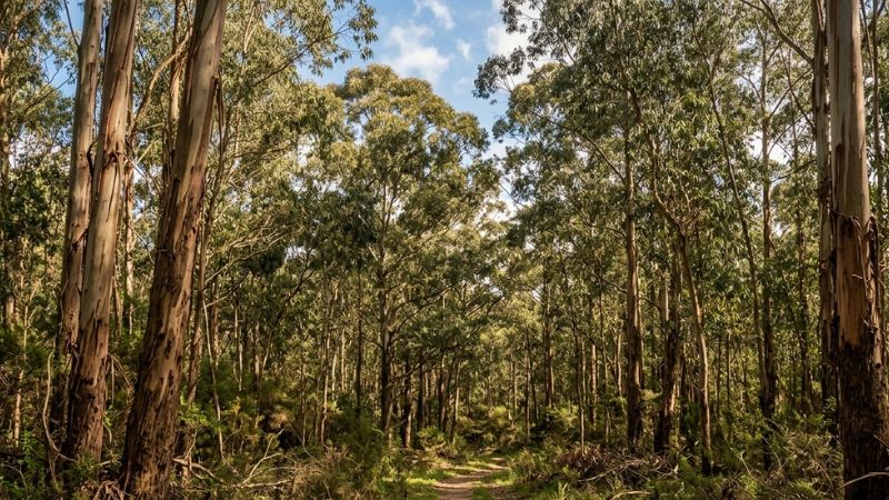 Eco Emprendedores impulsando la economía verde