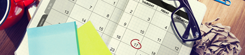 defensas de proyectos finales